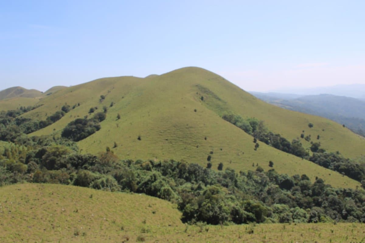 Coffee & Mists of Coorg
