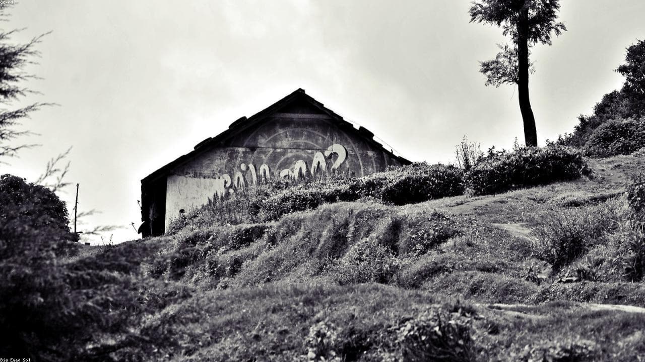 Ooty: The Blue Mountains