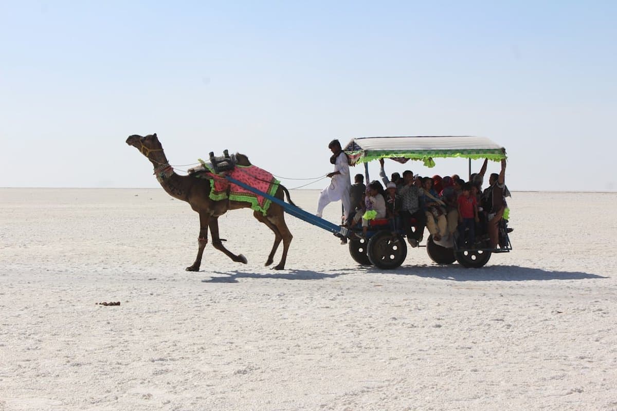 Rann of Kutch: The White Desert