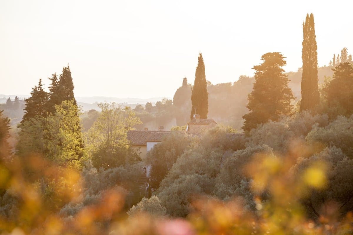 Tuscany: Vineyards & Villas